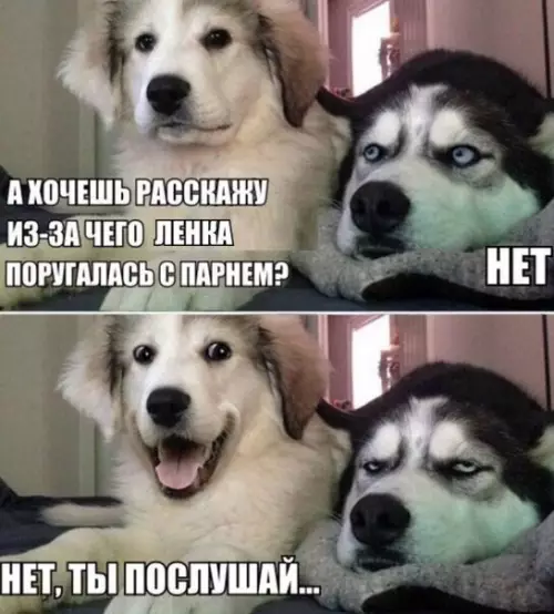 Смешная картинка №228330