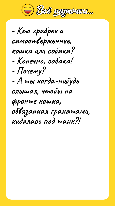 - Кто храбрее и самоотверженнее, кошка или собака? - Конечно,