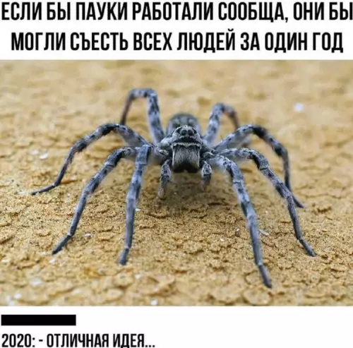Смешная картинка №534520