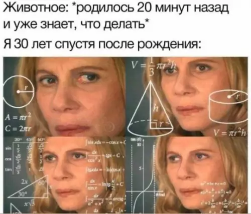 Смешная картинка №762592