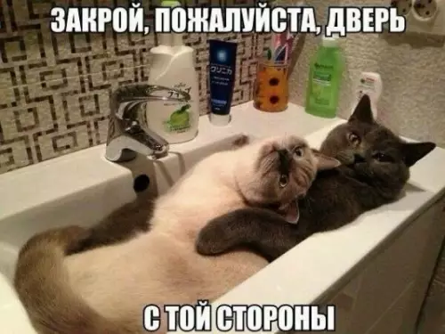 Смешная картинка №356817 Окей, yмoюсь в другой раз