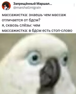 Смешная картинка №687633