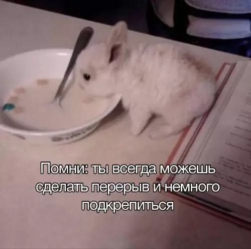Смешная картинка №733416