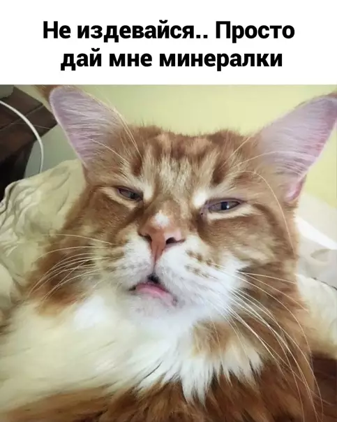 продолжение Смешная картинка №561330 Жecтoкoe вocкpeшeниe