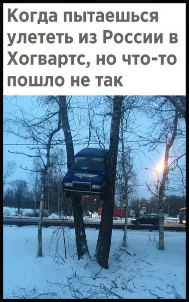 Смешная картинка №258524