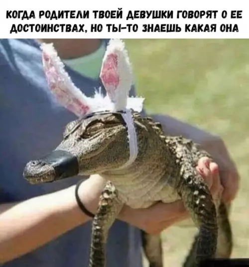 Смешная картинка №323732 девушка
