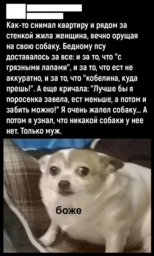 Смешная картинка №780781