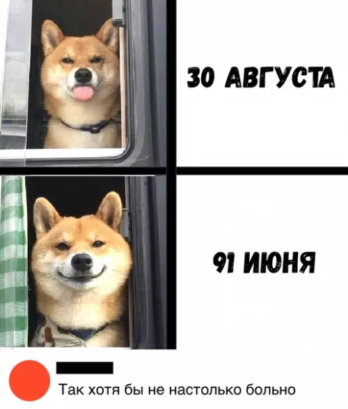 Смешная картинка №381804