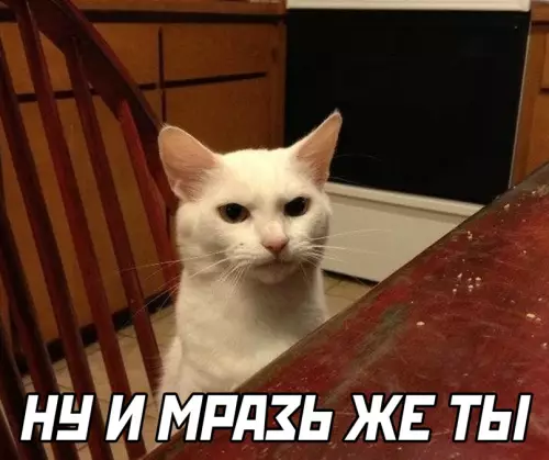 продолжение Смешная картинка №634479