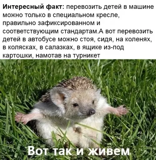 Смешная картинка №476395