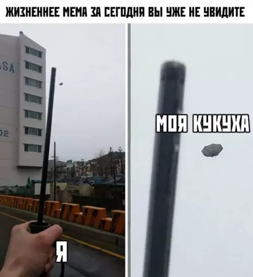 Смешная картинка №372548