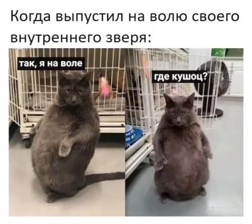 Смешная картинка №481274