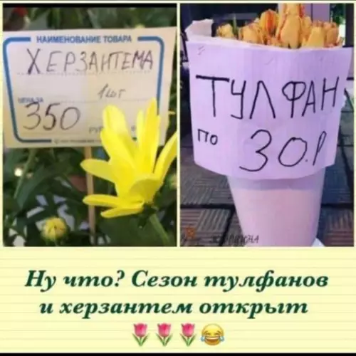 Смешная картинка №678798