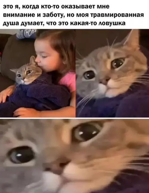 Проблемы доверия - это я, когда кто-то оказывается мне внимани и заботу, но