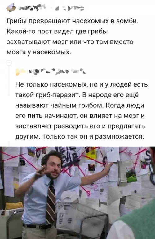 Смешная картинка №676648 Чайный гриб
