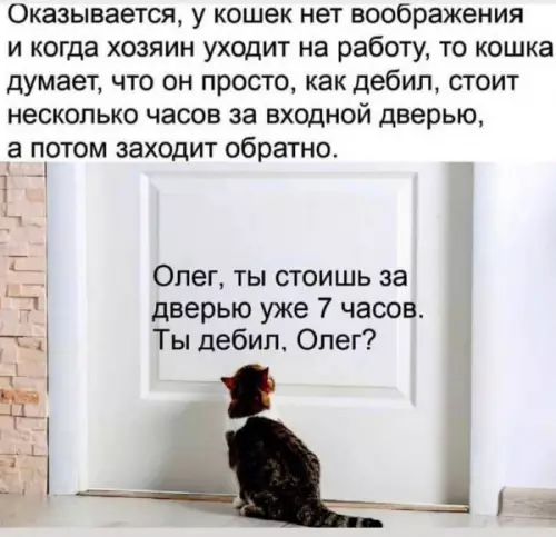 Смешная картинка №657794