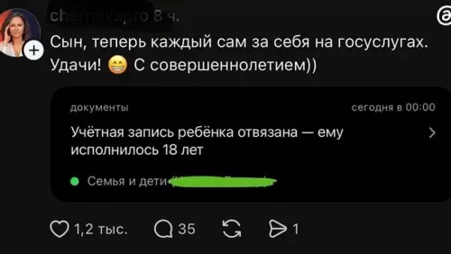 Свобода на Госуслугах! 🔞🎉 - Сын, теперь каждый сам за себя на госуслугах. Удачи! С