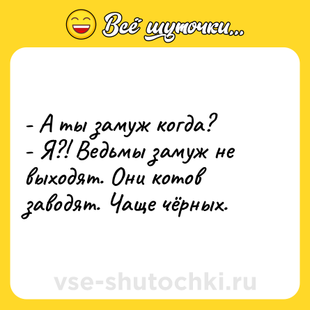 Шутка: - А ты замуж когда? <br>- Я?! Ведьмы замуж не выходят. Они котов заводят. Чаще чёрных.