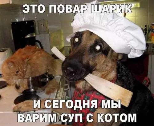 Смешная картинка №177361 собаки