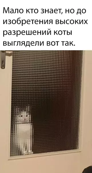 Смешная картинка №320933 Вот это поворот коты