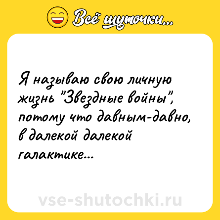Шутка: Я называю свою личную жизнь 