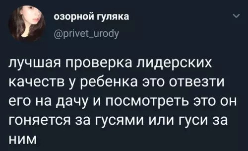 Смешная картинка №509819 Берем на вооружение