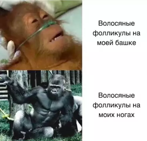 Смешная картинка №752494