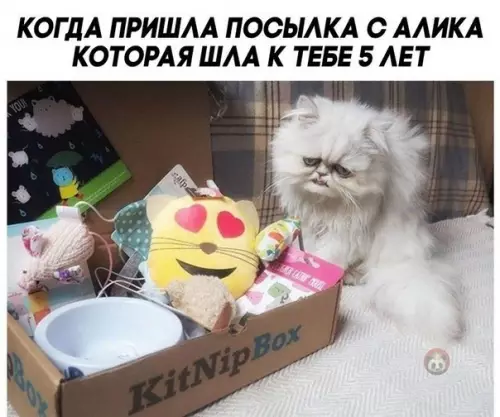 Смешная картинка №480768