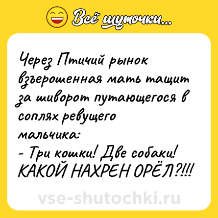 Шутка: Через Птичий рынок взъерошенная мать тащит за шиворот путающегося в соплях ревущего мальчика:<br>- Три кошки! Две собаки! КАКОЙ НАХРЕН ОРЁЛ?!!!