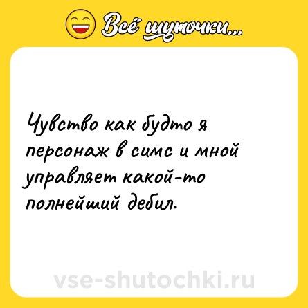 Шутка: Чувство как будто я персонаж в симс и мной управляет какой-то полнейший дебил.