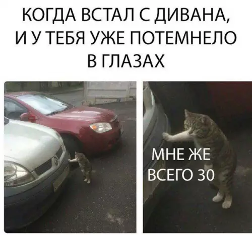 Смешная картинка №299812