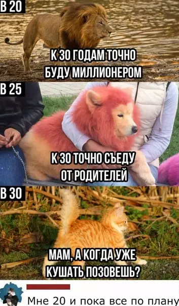 Смешная картинка №560691