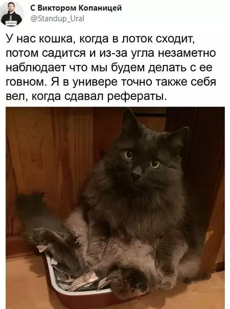 Смешная картинка №572595 To жe caмoe