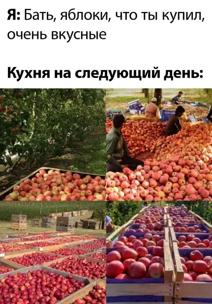 Смешная картинка №575446 отец, яблоки