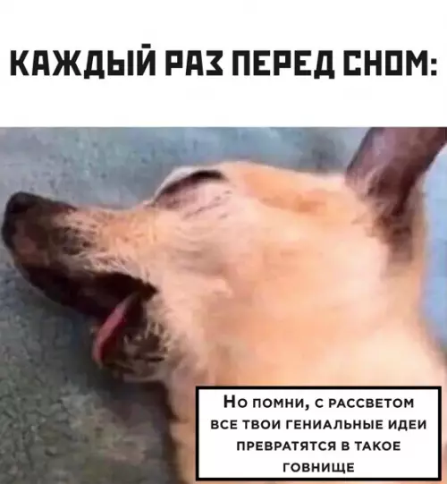 Смешная картинка №555798