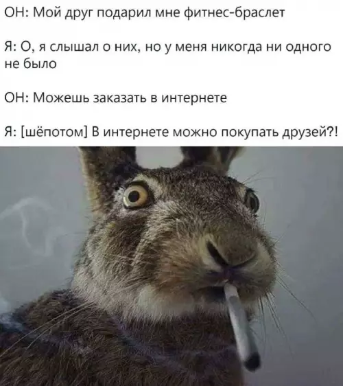 Смешная картинка №691351 Друзья 