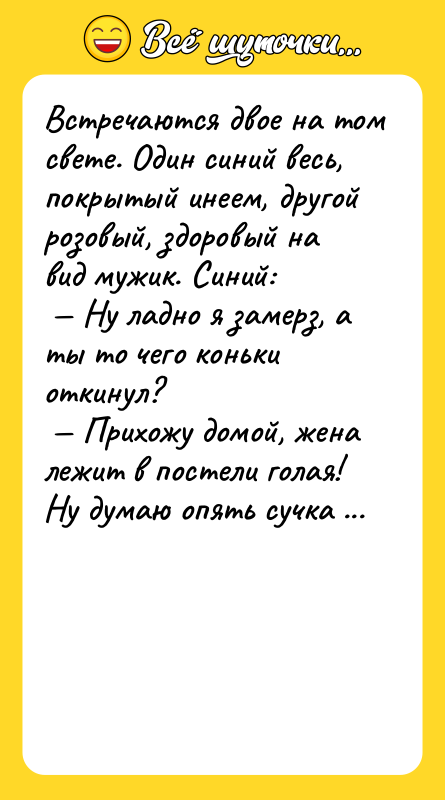 Встречaются двое нa том свете. Один синий весь, покрытый инеем,