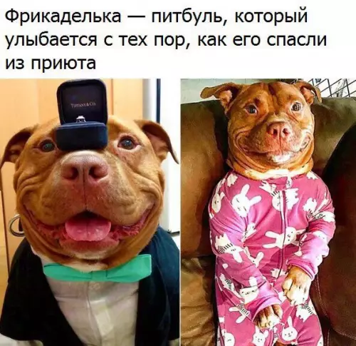Смешная картинка №244353