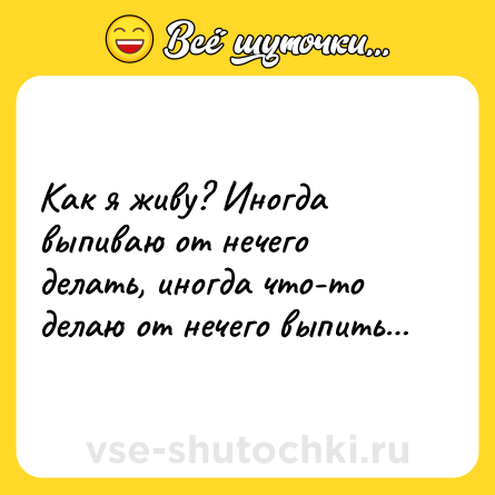 Шутка: Как я живу? Иногда выпиваю от нечего делать, иногда что-то делаю от нечего выпить…