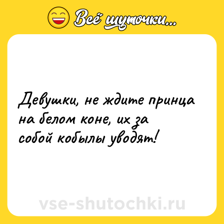 Шутка: Девушки, не ждите принца на белом коне, их за собой кобылы уводят!