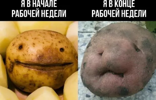 Смешная картинка №732556 Поработал Работа
