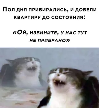 Смешная картинка №643274