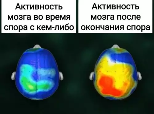 Активность мозга во время и после спора