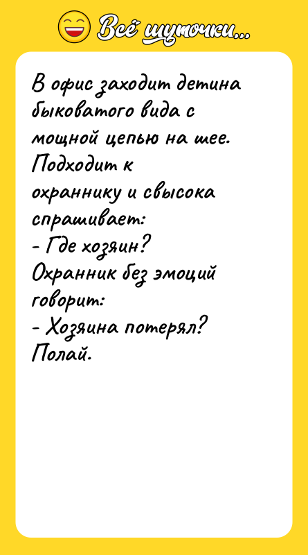 В офис заходит детина быковатого вида с мощной цепью на