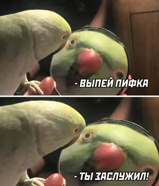Смешная картинка №635804 Я по выходным