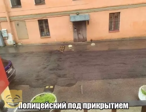 Смешная картинка №370105 #приколы #картинки #мемы ?