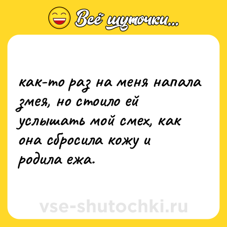 Шутка: как-то раз на меня напала змея, но стоило ей услышать мой смех, как она сбросила кожу и родила ежа.