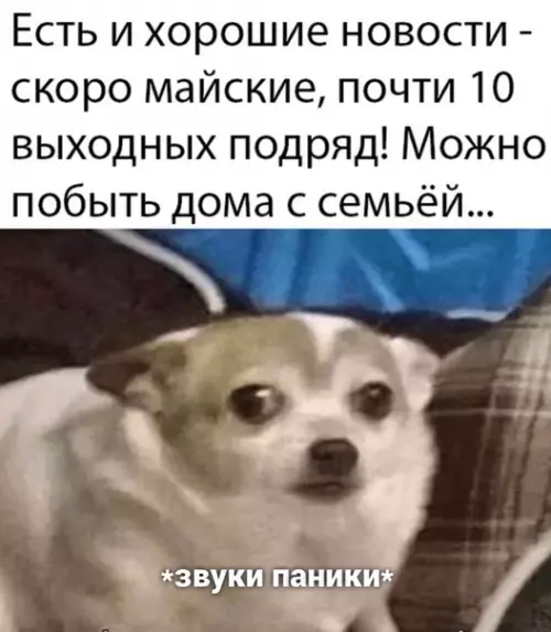 Смешная картинка №487106 Так, стоп...