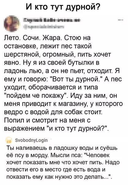 Смешная картинка №583964 Умный пёc