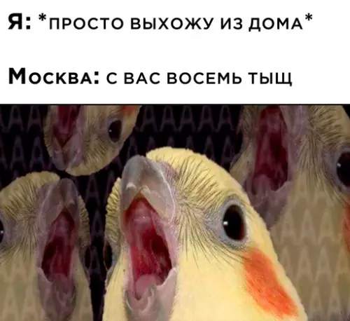 Смешная картинка №706985